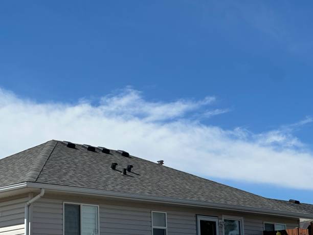 Best Roof Ventilation Installation  in Stanton, KY